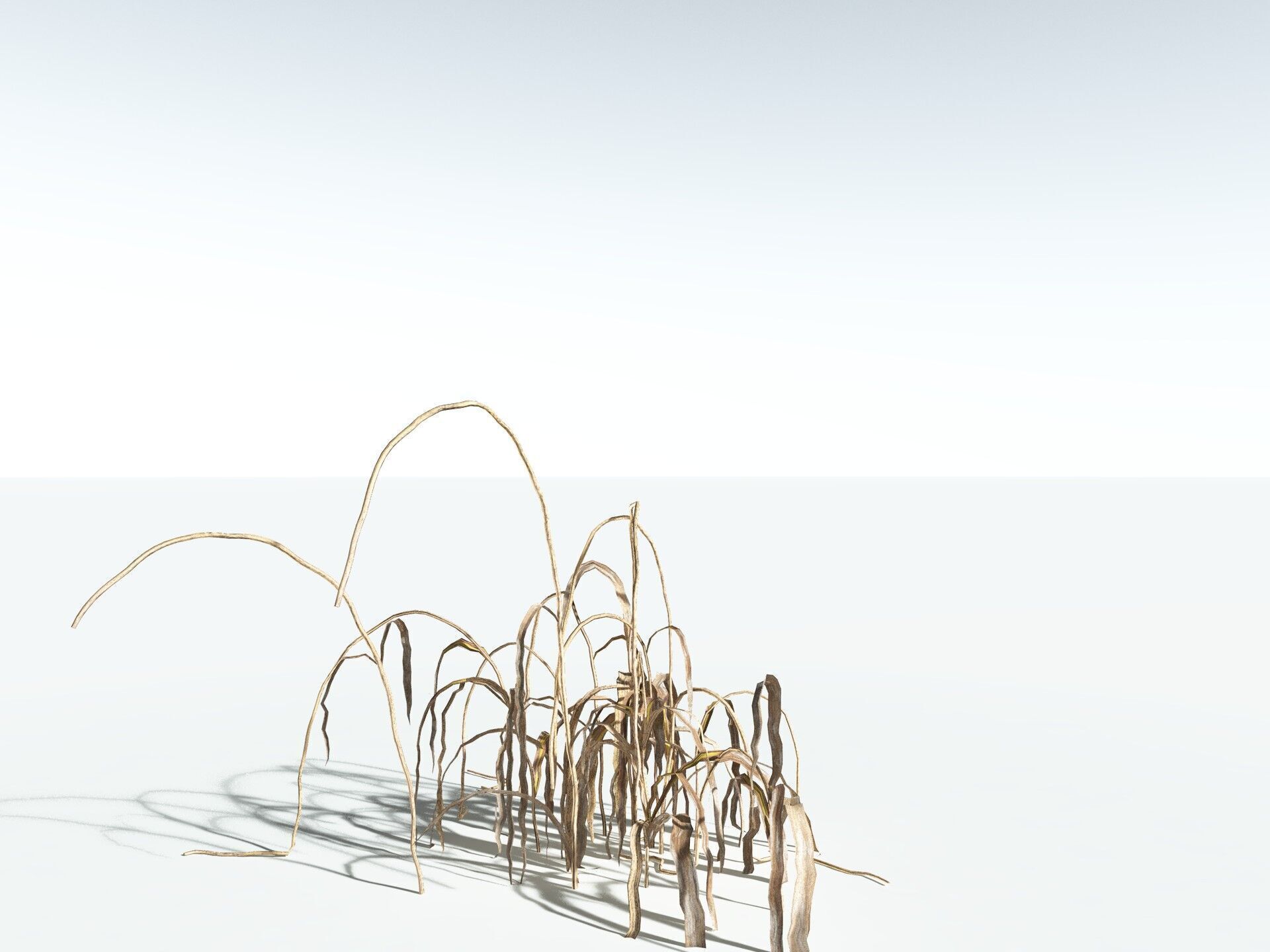 EVERYPlant Pendulous Sedge LowPoly Low-poly 3D model_18