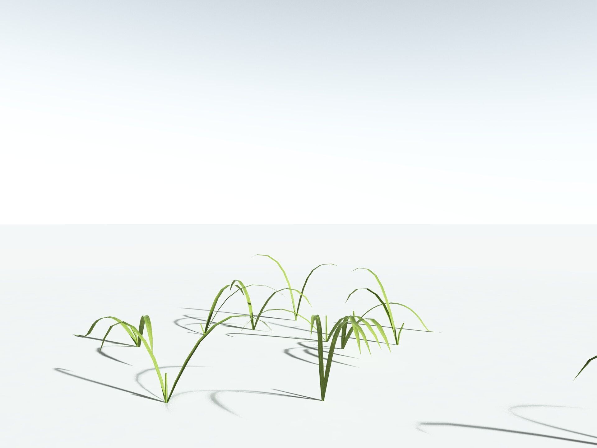 EVERYPlant Pendulous Sedge LowPoly Low-poly 3D model_29