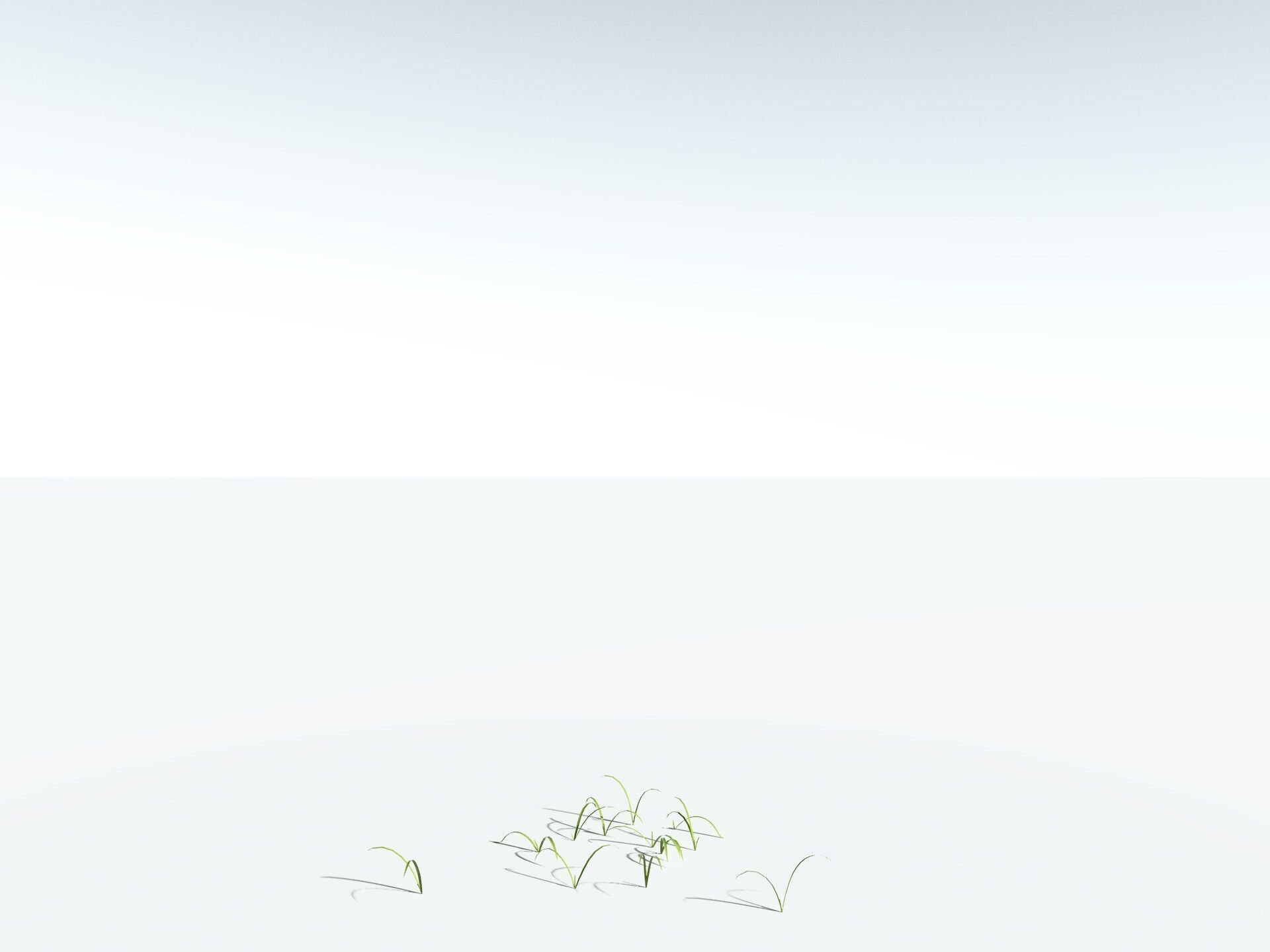 EVERYPlant Pendulous Sedge LowPoly Low-poly 3D model_28