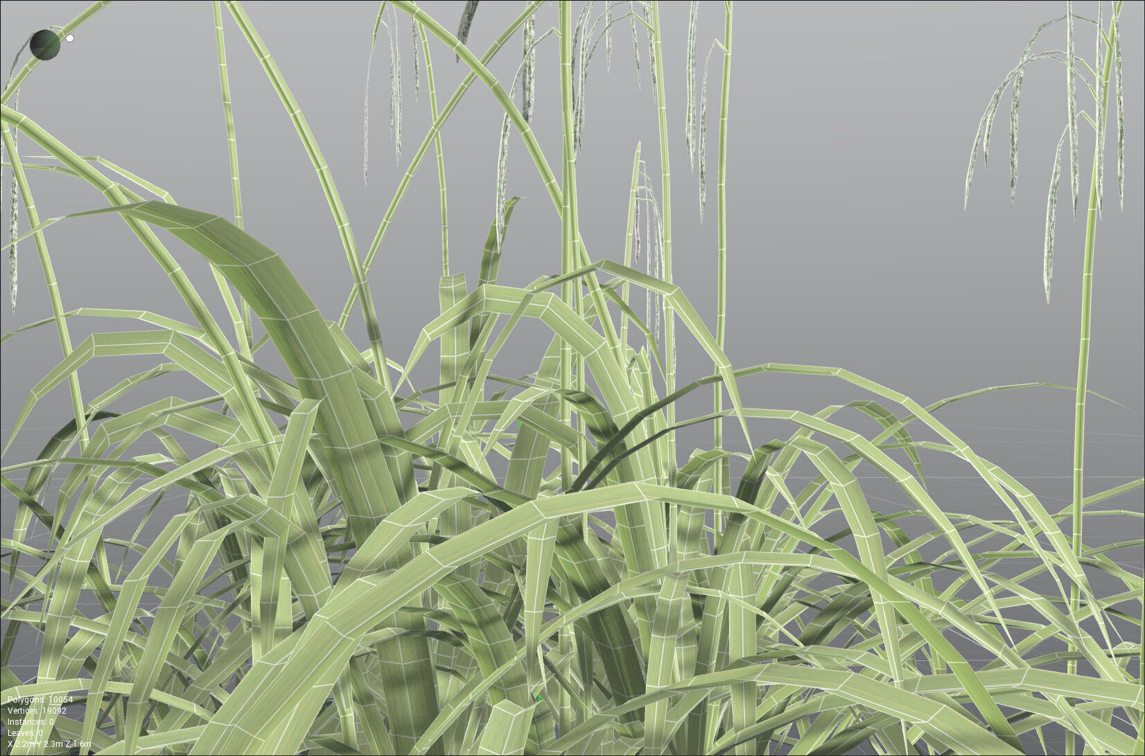 EVERYPlant Pendulous Sedge LowPoly Low-poly 3D model_37