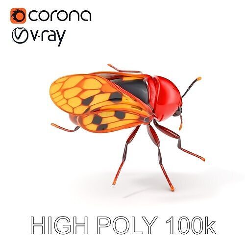 Stylized Beetle Insect Model Pack with Vivid Wings Low-poly 3D model