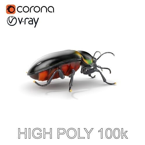 D Beetle Model Pack  High Detail Arthropod Low-poly 3D model