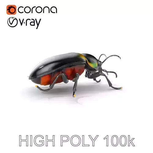 D Beetle Model Pack  High Detail Arthropod Low-poly 3D model