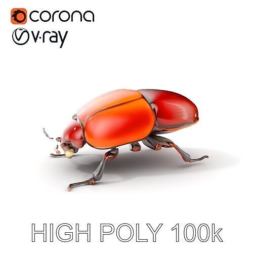 Beetle Insect Model Pack with PBR Textures Low-poly 3D model