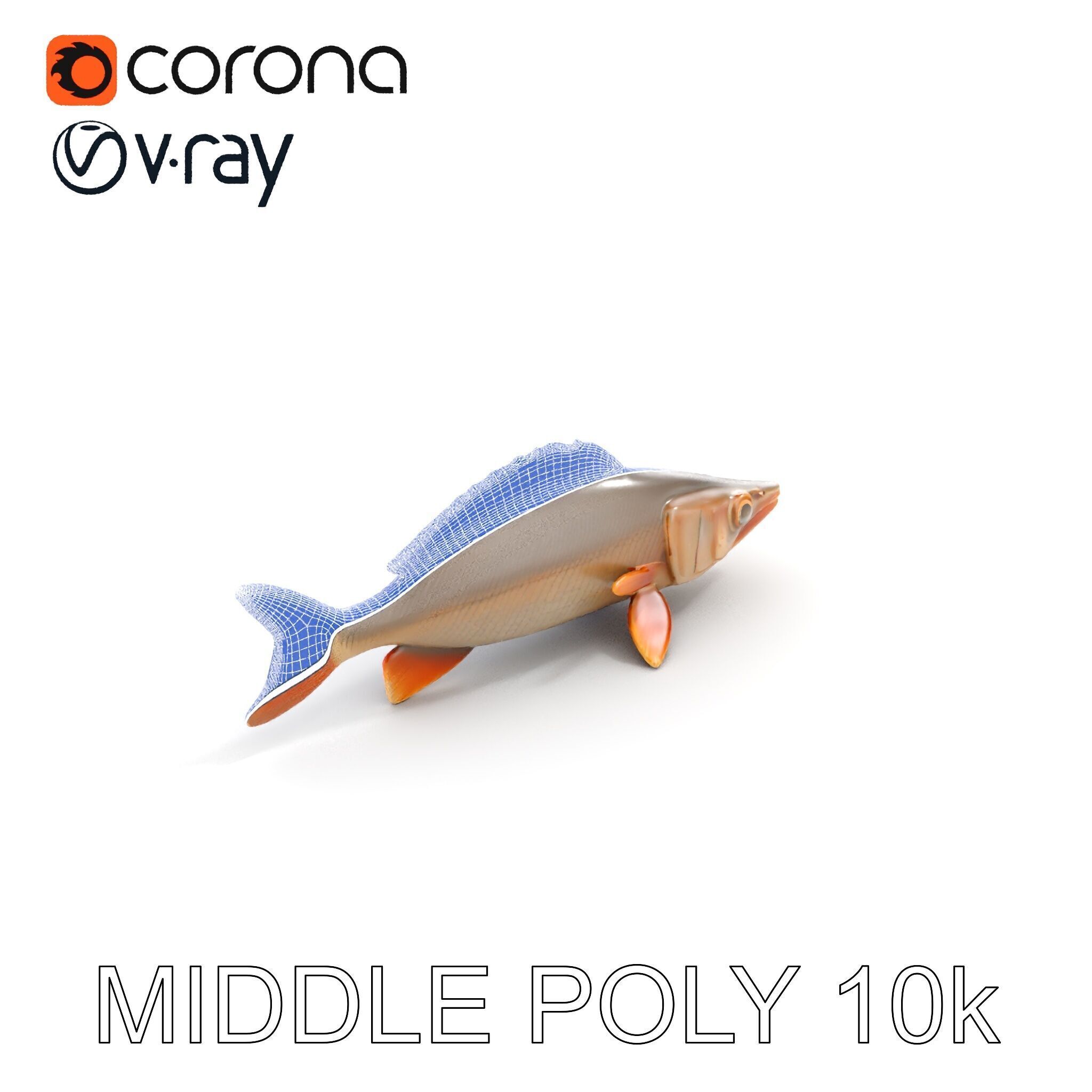 Realistic Fish Model Pack for Animation and Rendering Low-poly 3D model_8