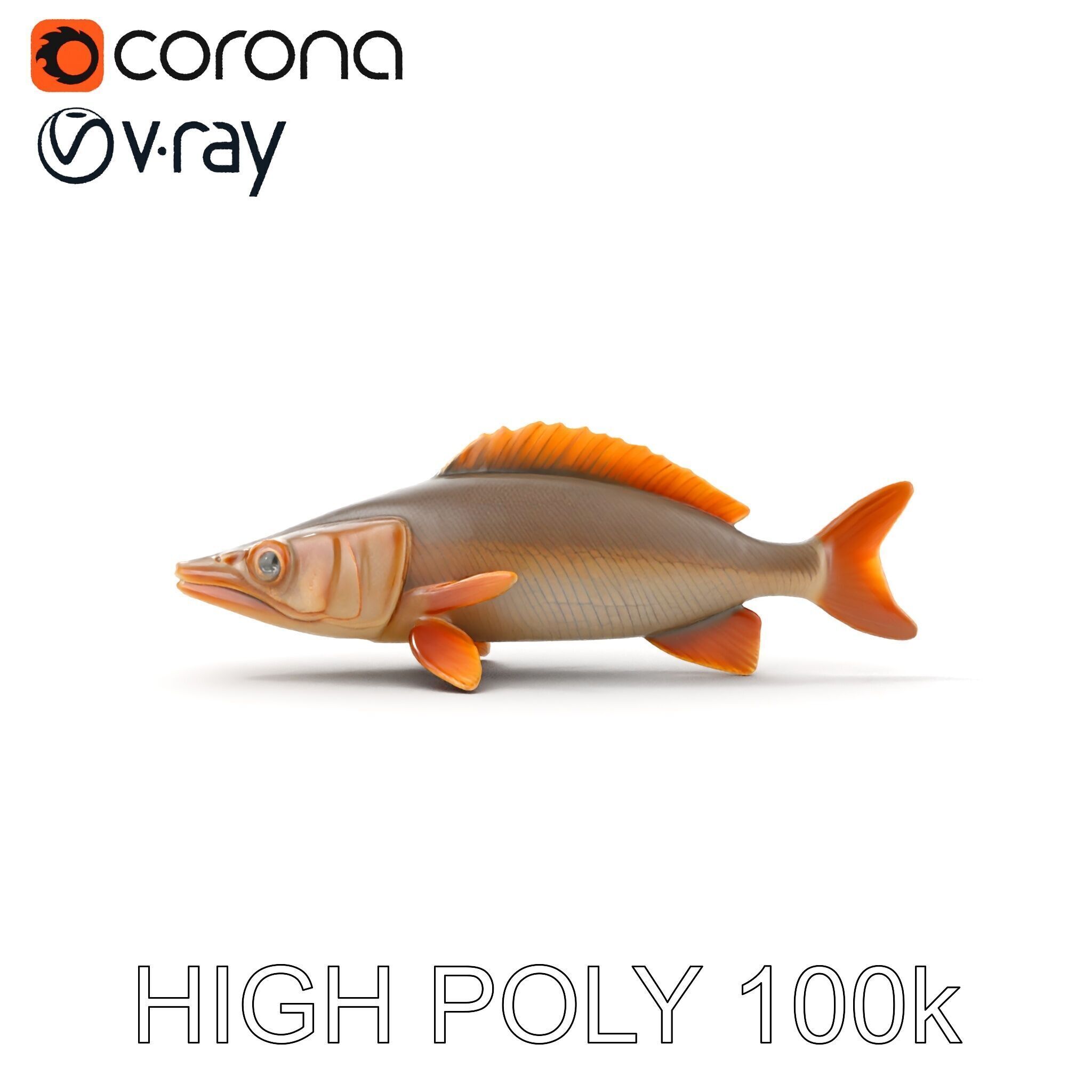 Realistic Fish Model Pack for Animation and Rendering Low-poly 3D model_23