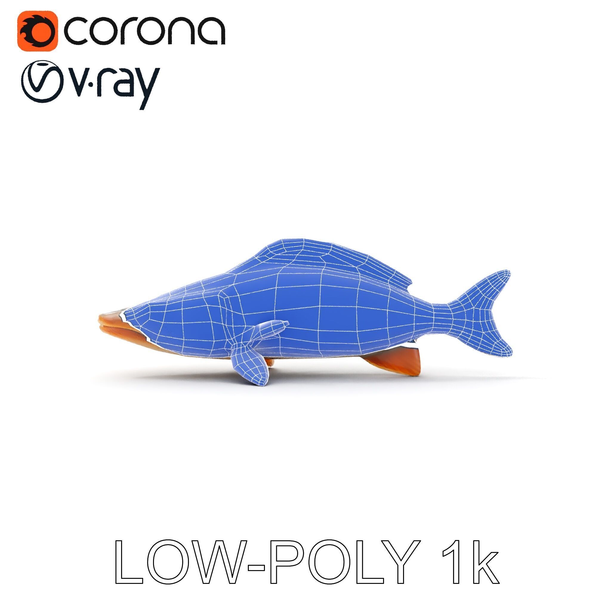Realistic Fish Model Pack for Animation and Rendering Low-poly 3D model_31