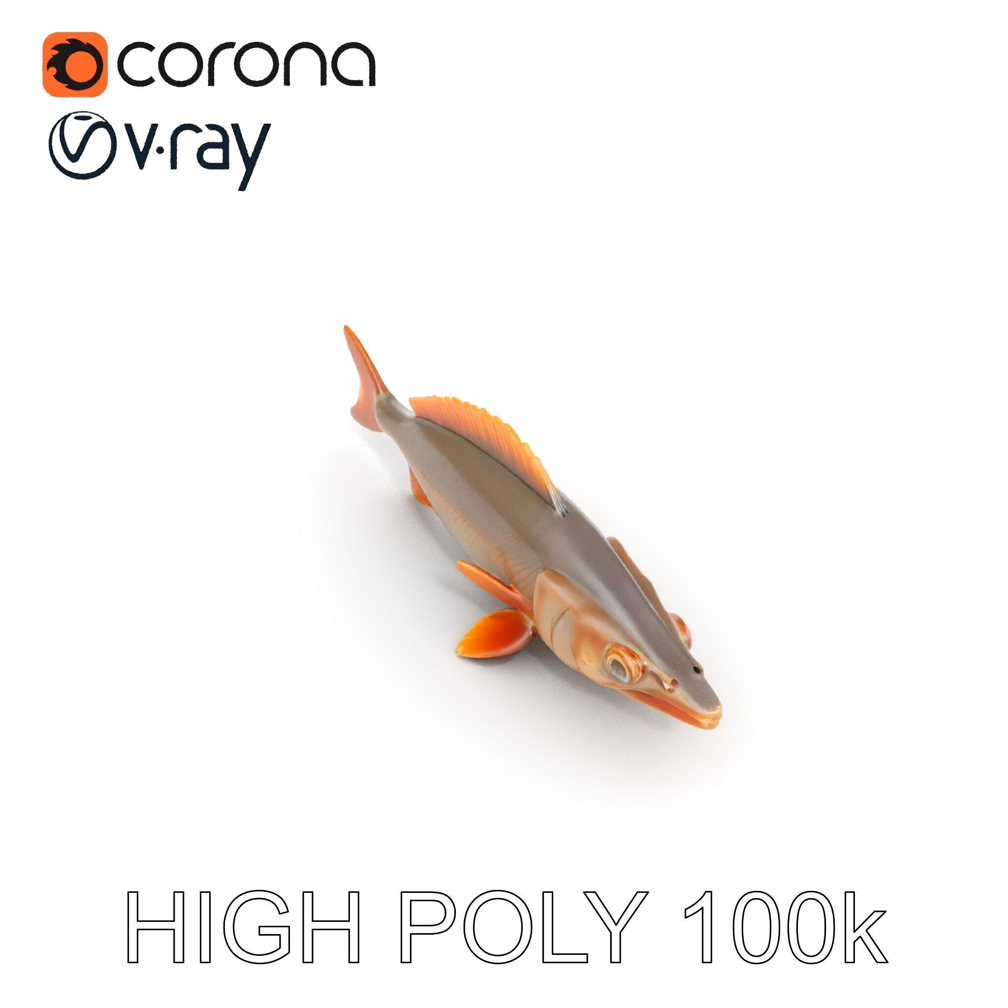 Realistic Fish Model Pack for Animation and Rendering Low-poly 3D model_26