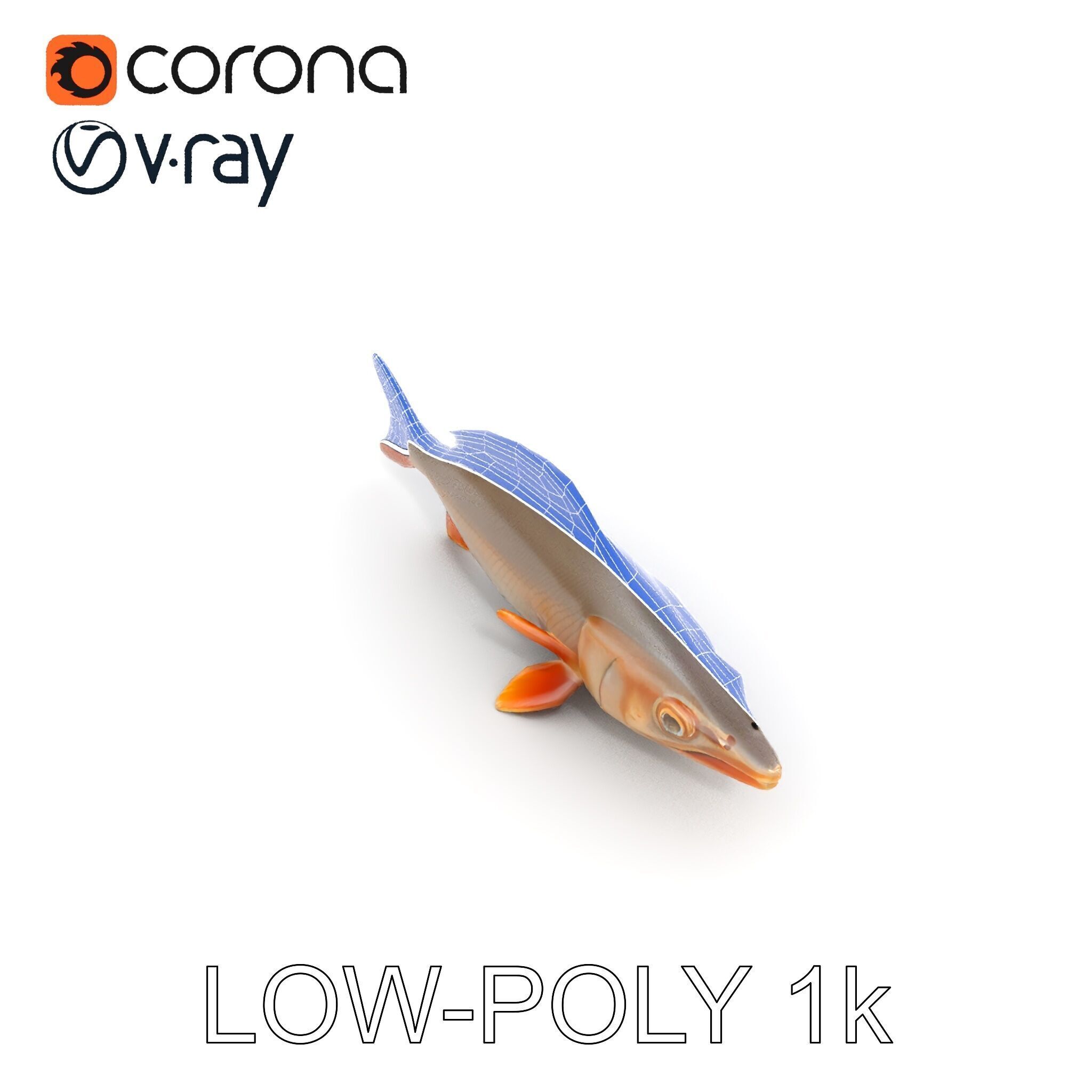 Realistic Fish Model Pack for Animation and Rendering Low-poly 3D model_25
