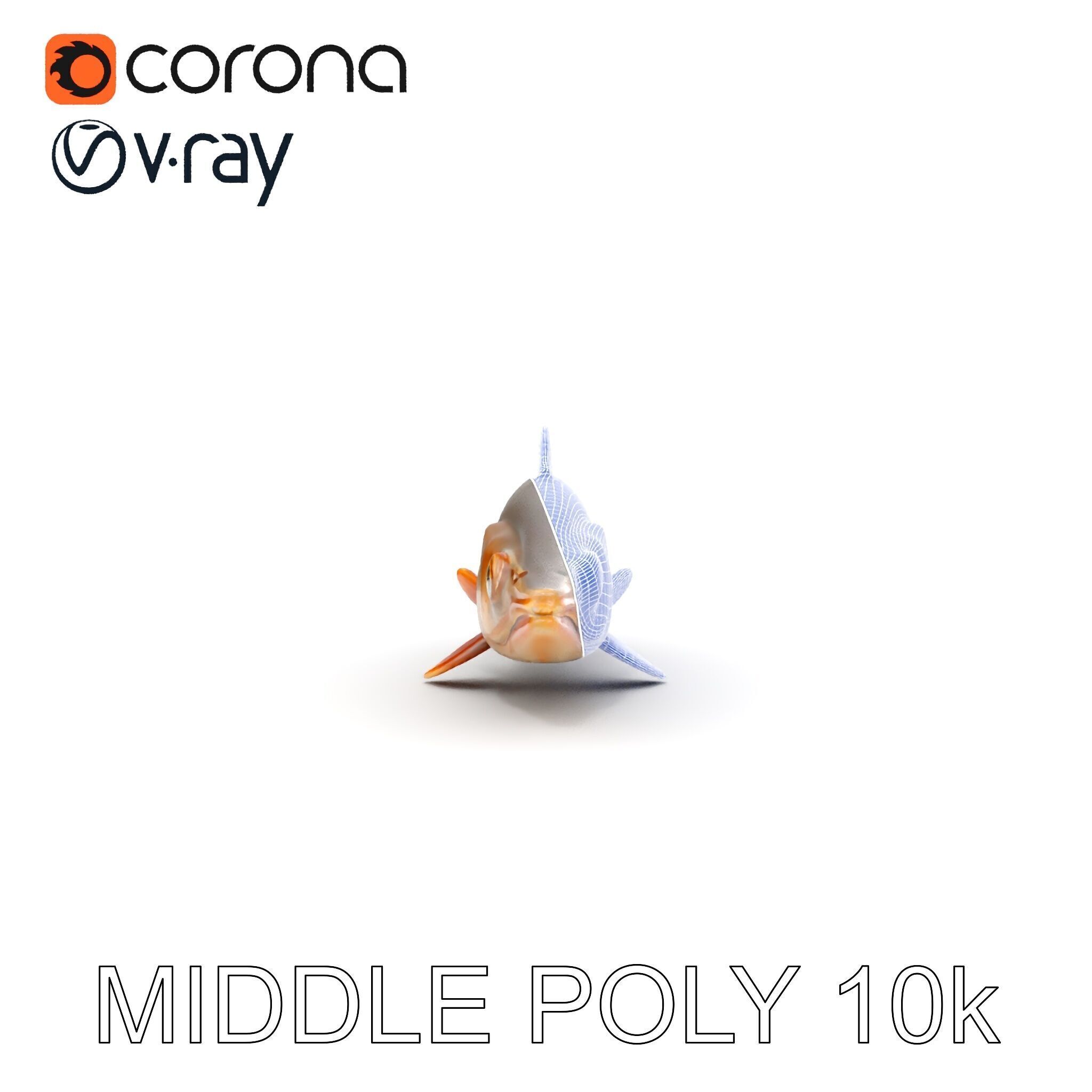 Realistic Fish Model Pack for Animation and Rendering Low-poly 3D model_30