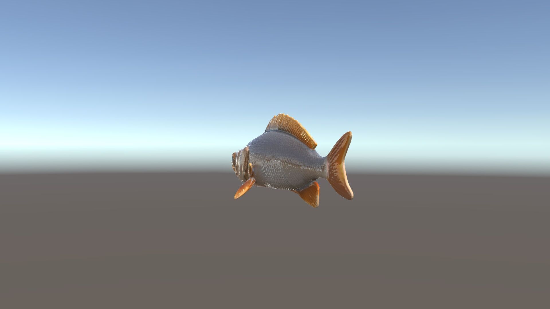 Realistic Fish Model Pack for Animation and Rendering Low-poly 3D model_33