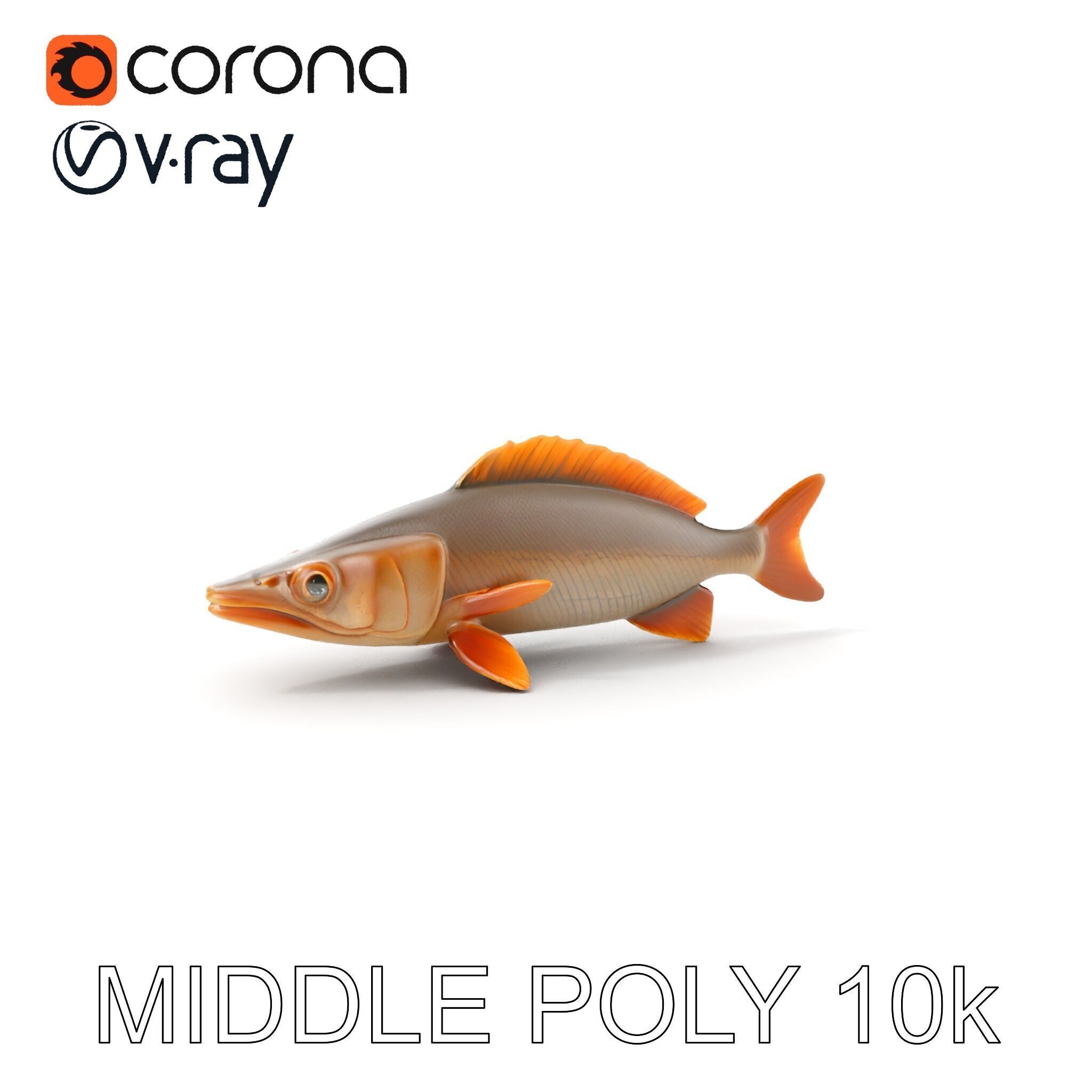 Realistic Fish Model Pack for Animation and Rendering Low-poly 3D model_6
