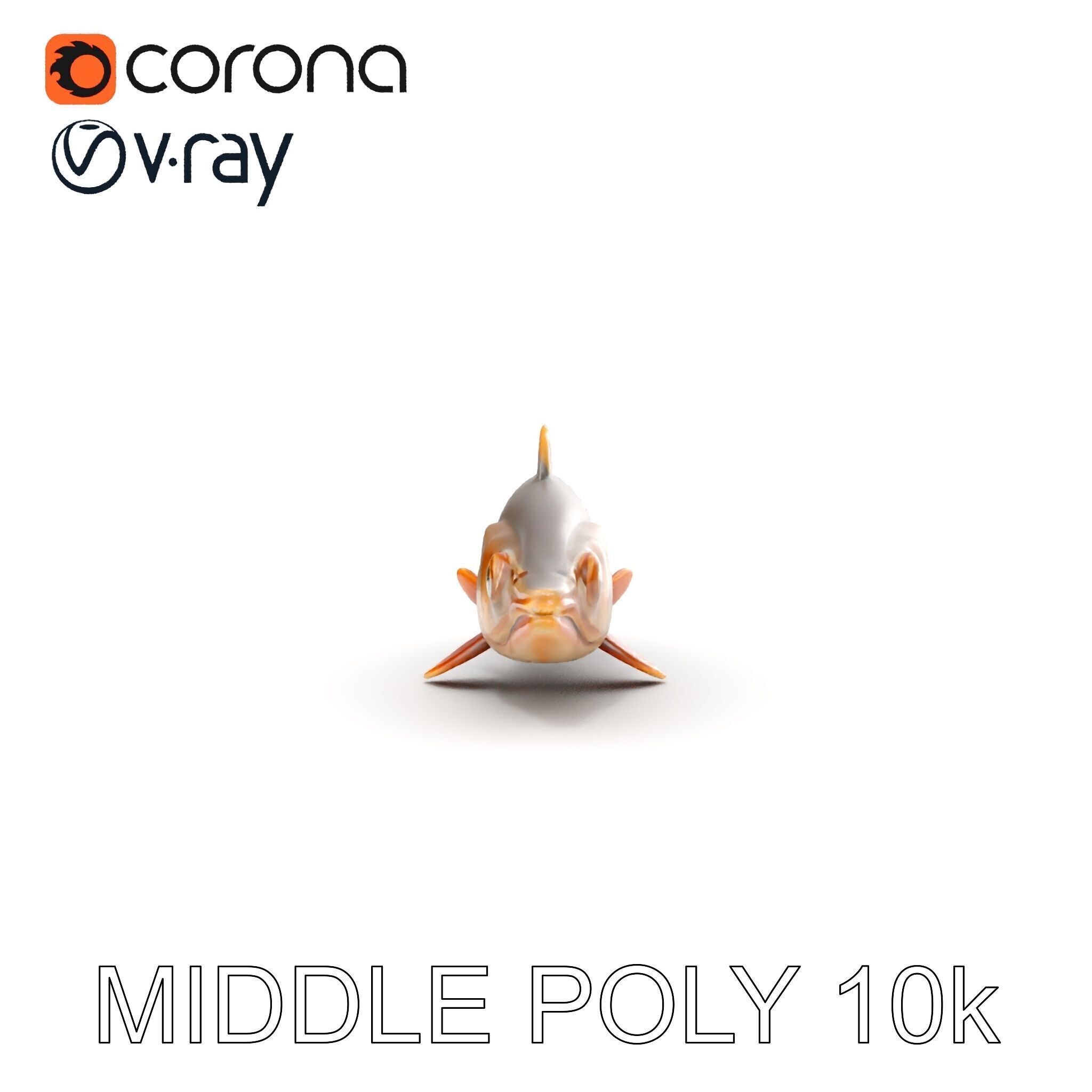 Realistic Fish Model Pack for Animation and Rendering Low-poly 3D model_24