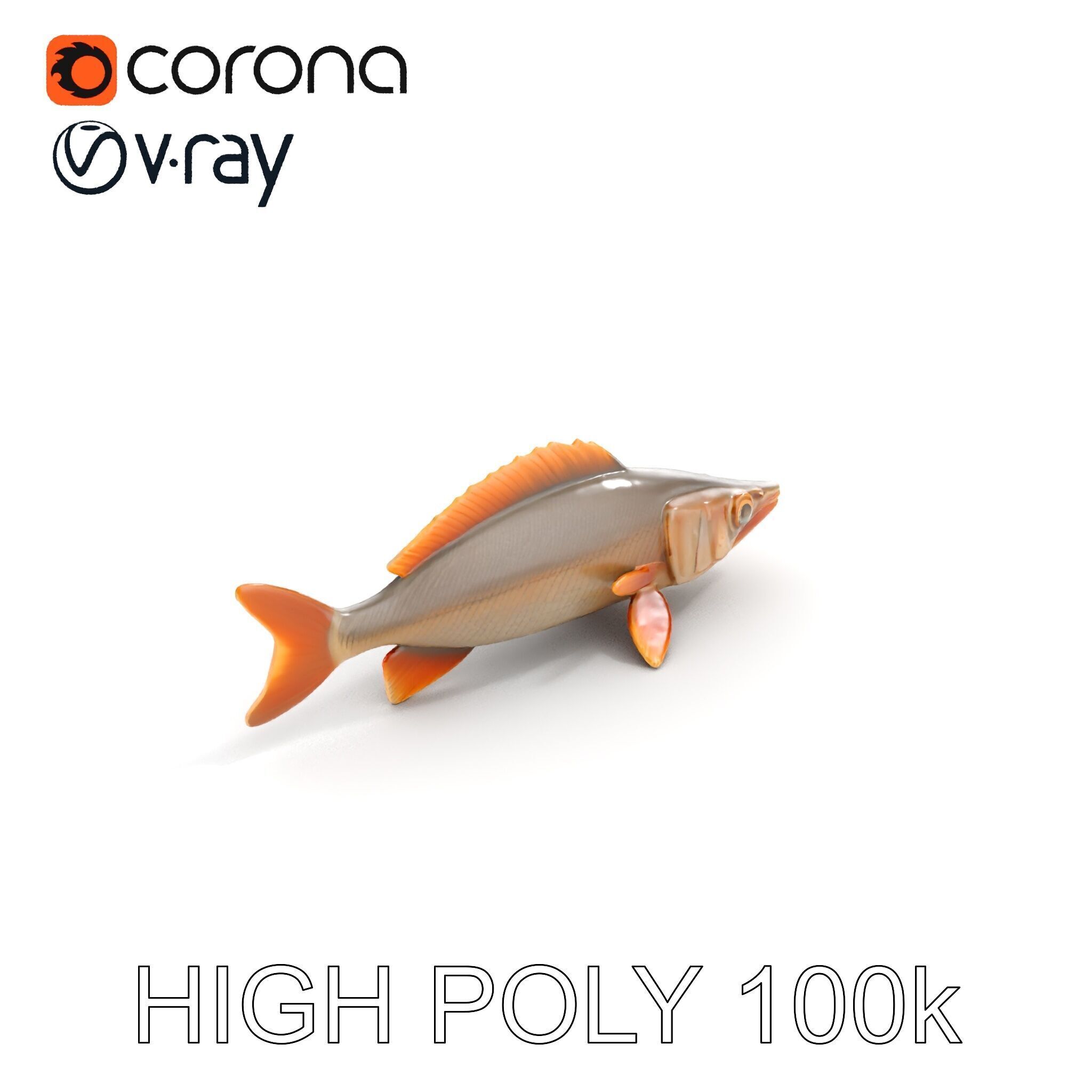 Realistic Fish Model Pack for Animation and Rendering Low-poly 3D model_10