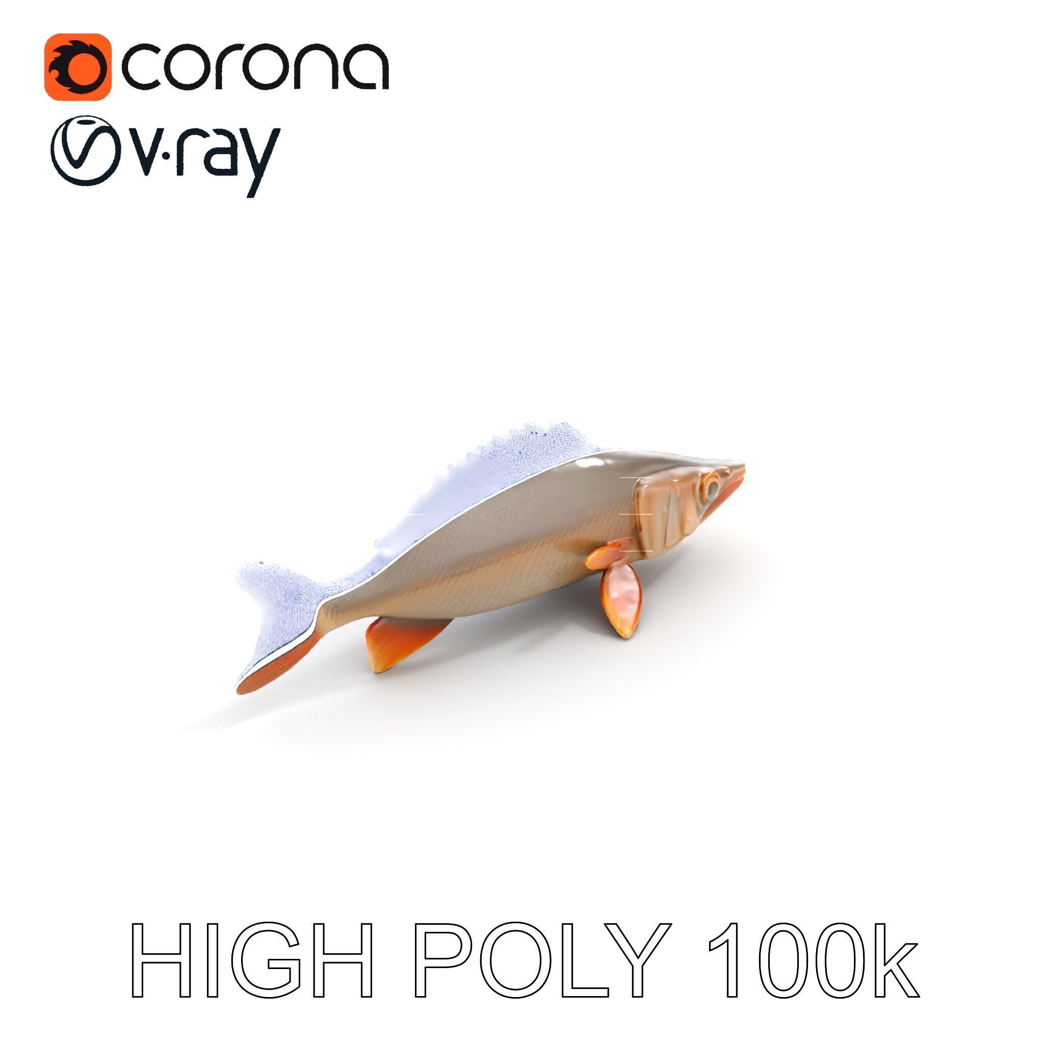 Realistic Fish Model Pack for Animation and Rendering Low-poly 3D model_20