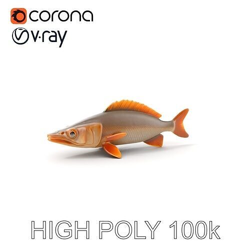 Realistic Fish Model Pack for Animation and Rendering Low-poly 3D model