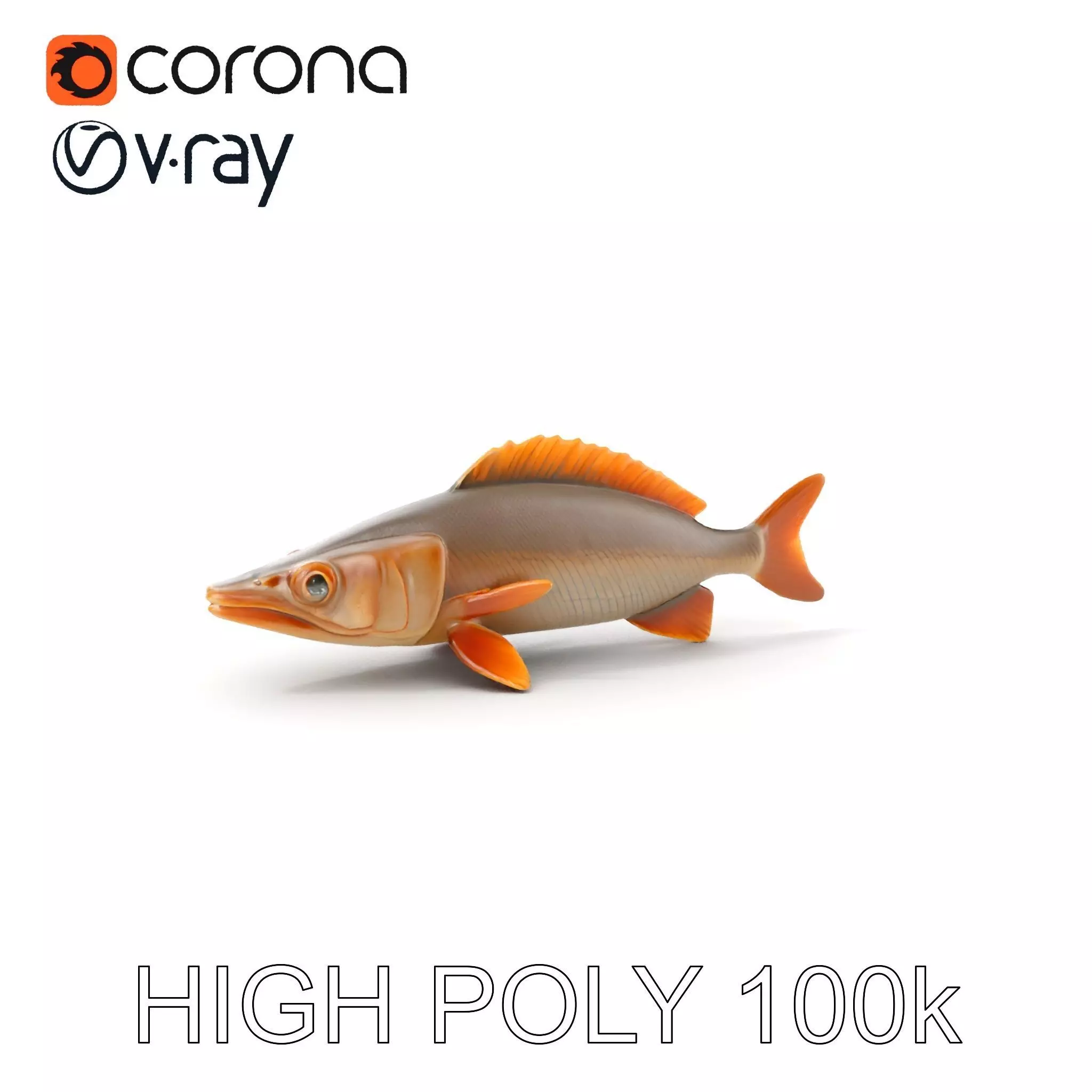 Realistic Fish Model Pack for Animation and Rendering Low-poly 3D model_0