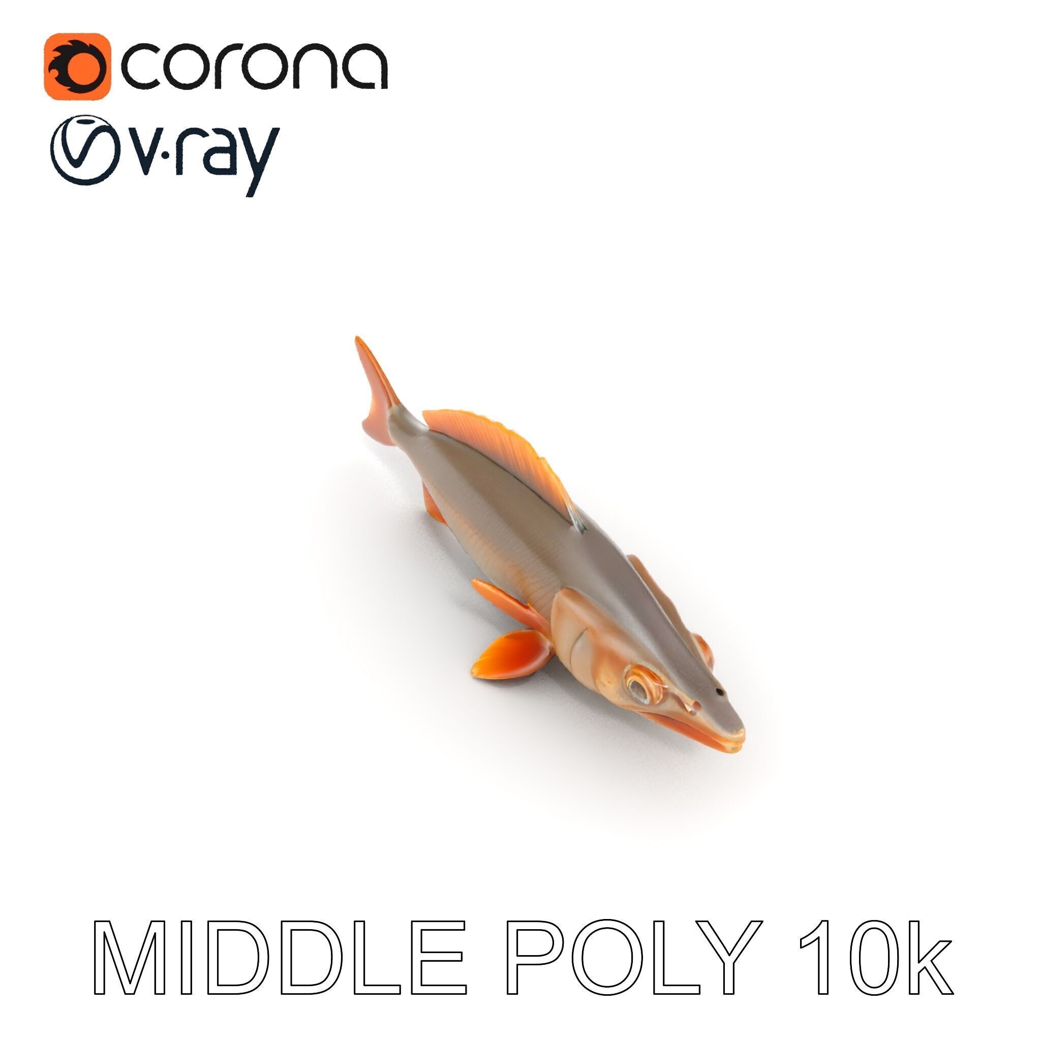 Realistic Fish Model Pack for Animation and Rendering Low-poly 3D model_21
