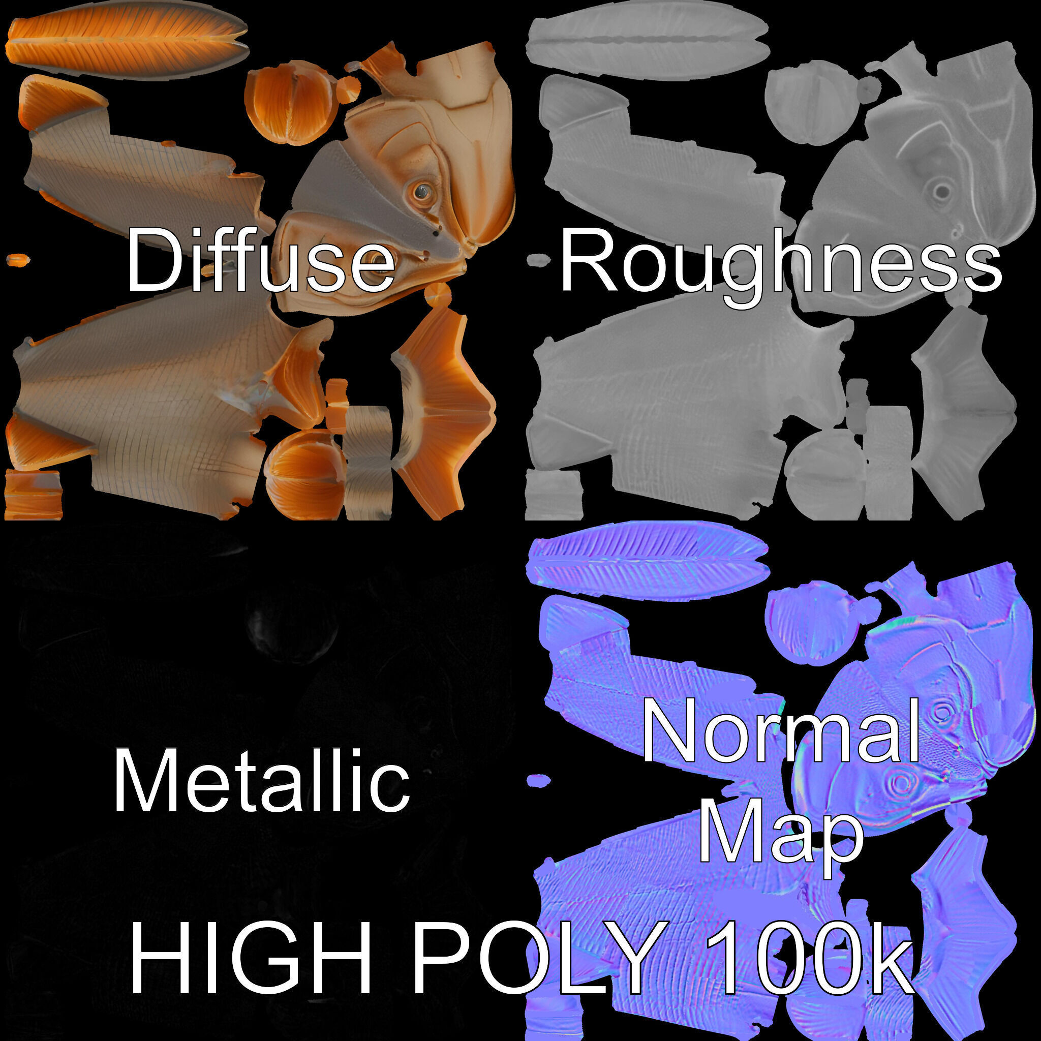 Realistic Fish Model Pack for Animation and Rendering Low-poly 3D model_3