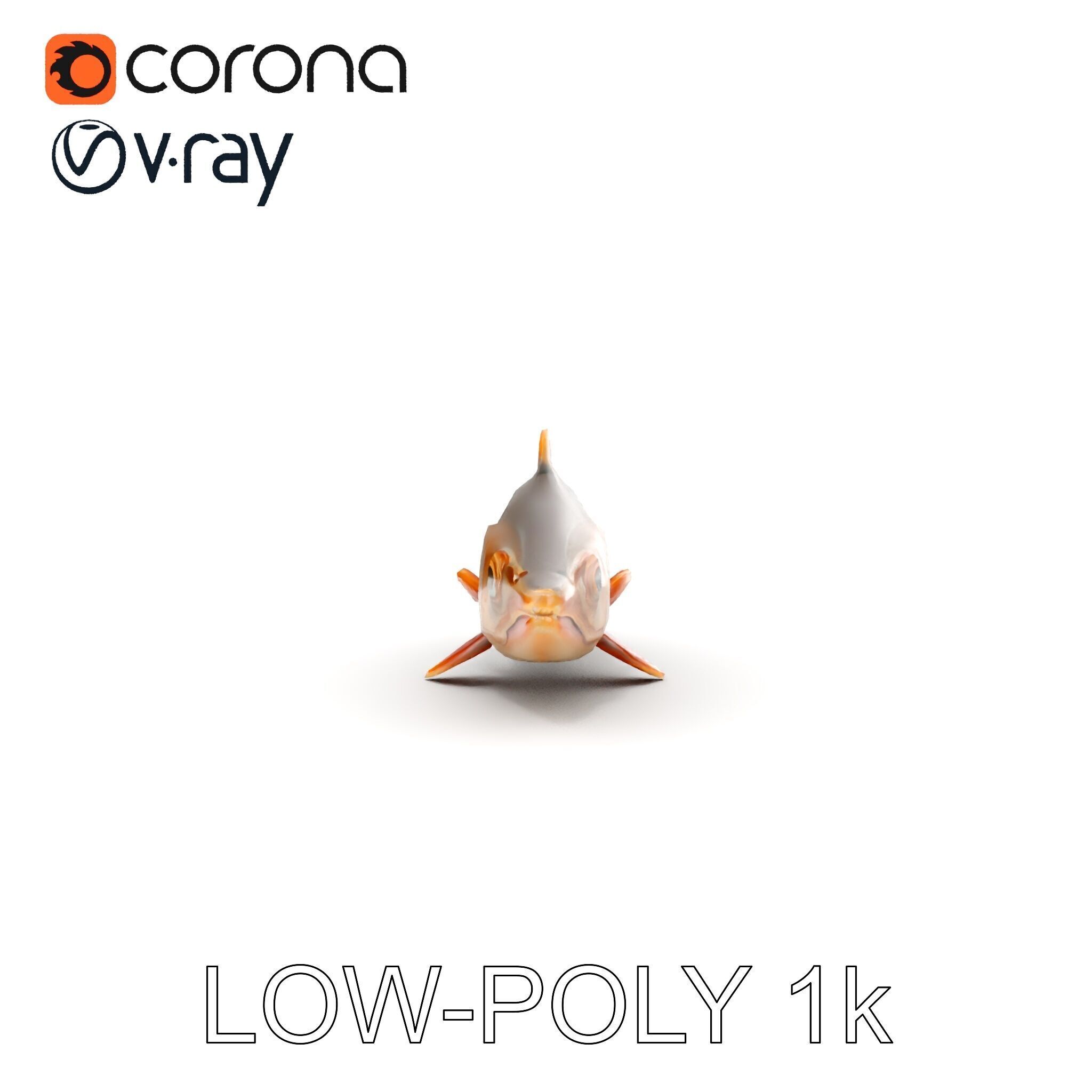 Realistic Fish Model Pack for Animation and Rendering Low-poly 3D model_9