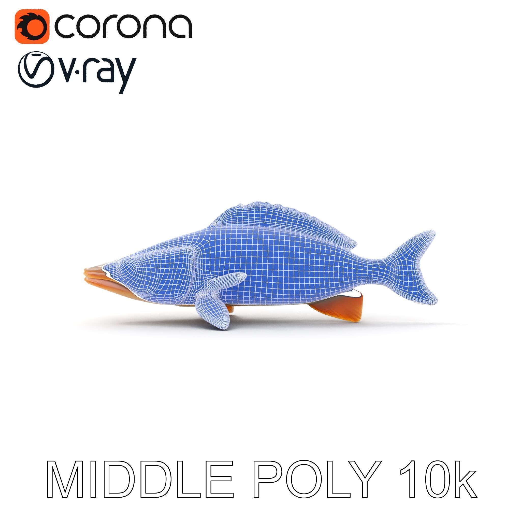 Realistic Fish Model Pack for Animation and Rendering Low-poly 3D model_27