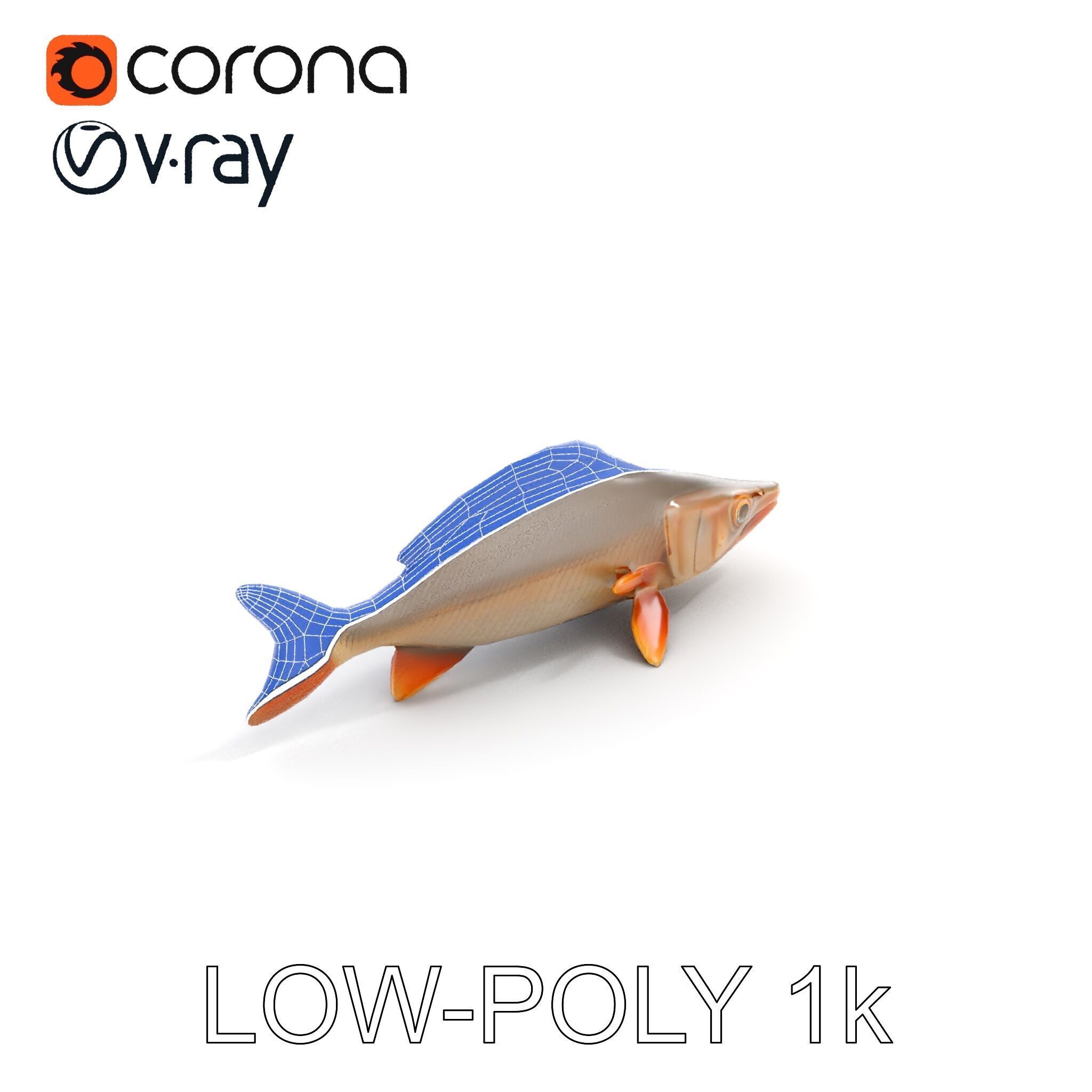 Realistic Fish Model Pack for Animation and Rendering Low-poly 3D model_19
