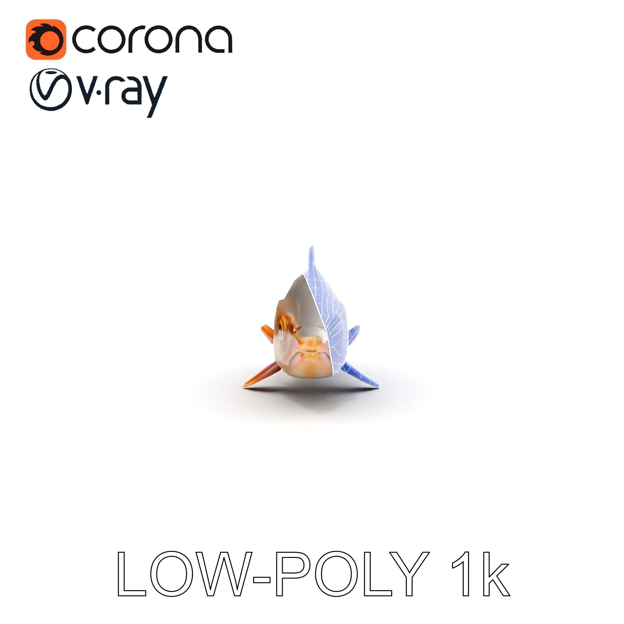 Realistic Fish Model Pack for Animation and Rendering Low-poly 3D model_22