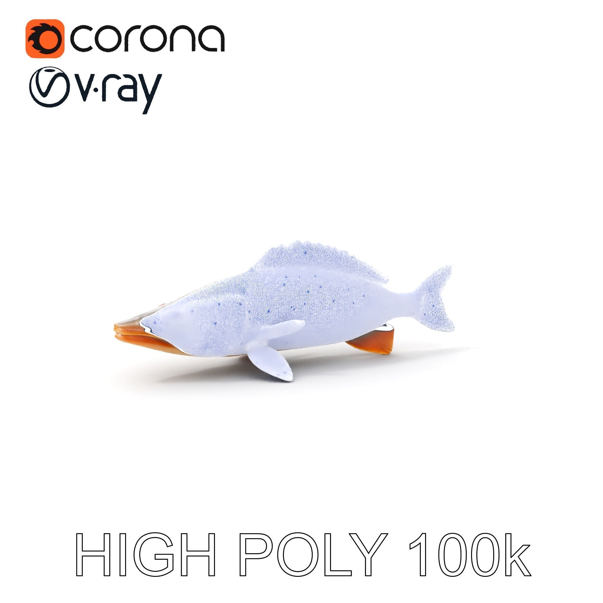 Realistic Fish Model Pack for Animation and Rendering Low-poly 3D model_4