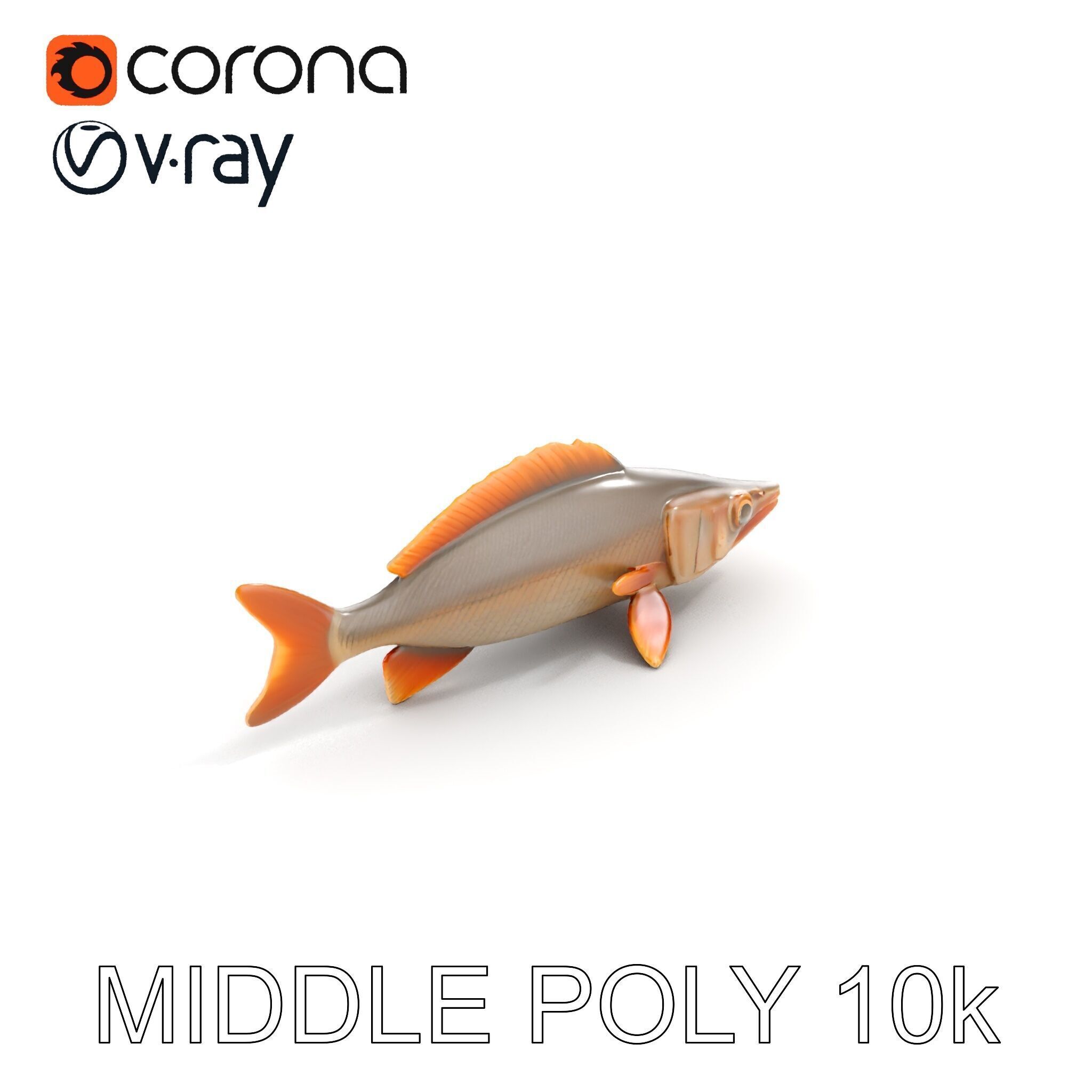 Realistic Fish Model Pack for Animation and Rendering Low-poly 3D model_18