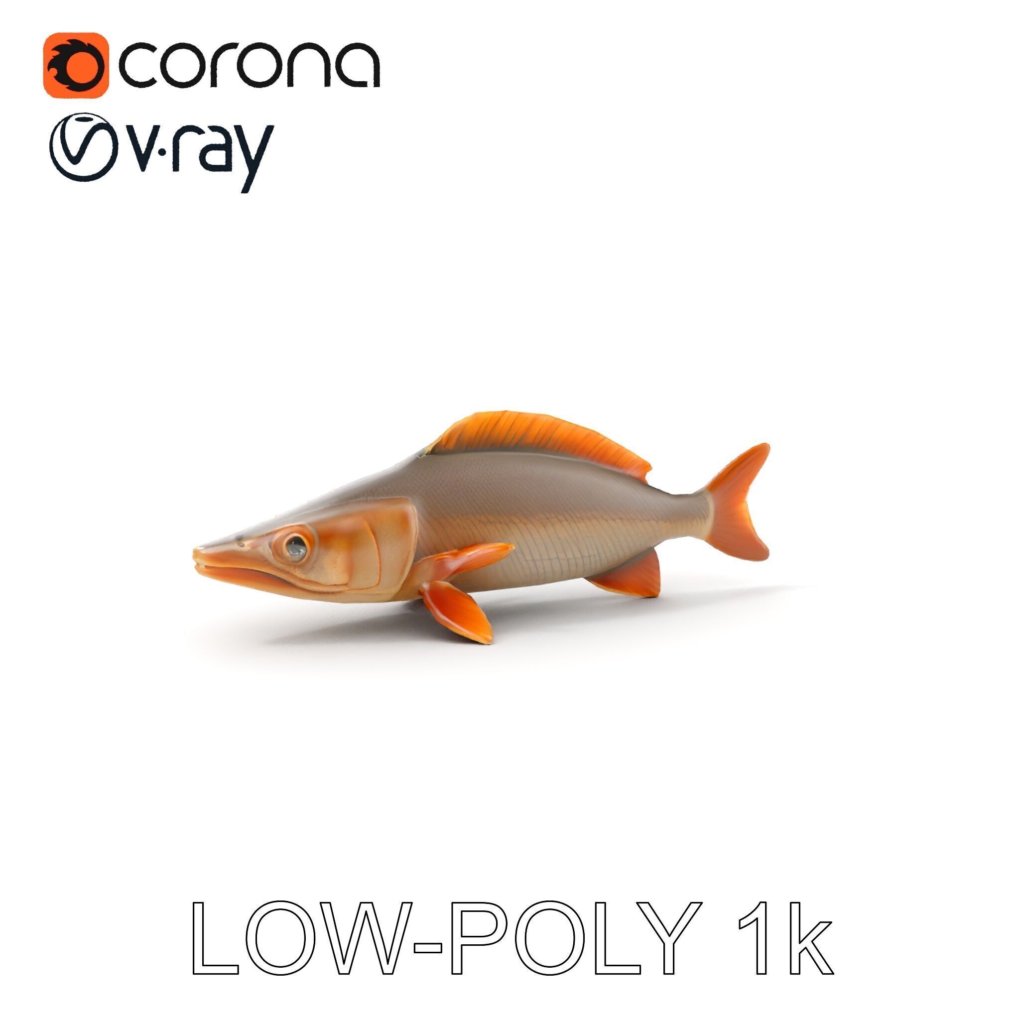Realistic Fish Model Pack for Animation and Rendering Low-poly 3D model_17