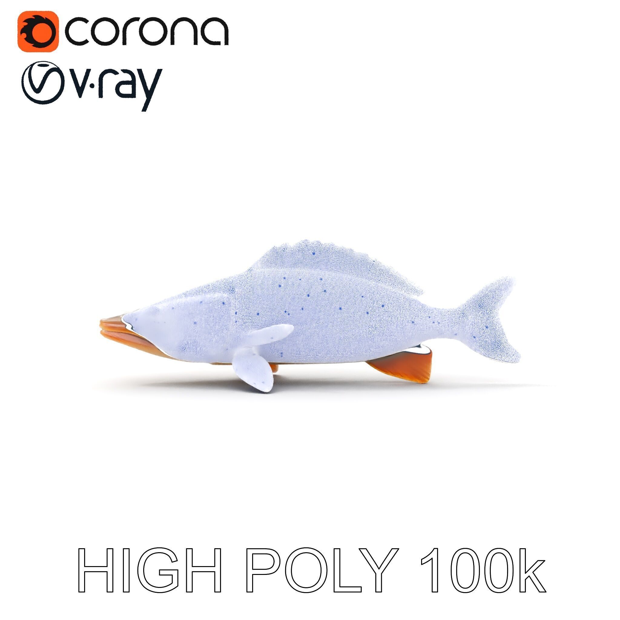 Realistic Fish Model Pack for Animation and Rendering Low-poly 3D model_35