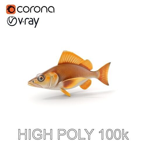 Realistic Fish Model Pack with PBR Textures Low-poly 3D model