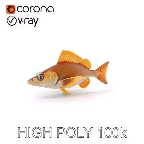 Realistic Fish Model Pack with PBR Textures Low-poly 3D model