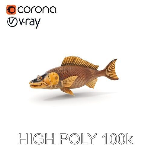 Realistic Fish Model Pack for Aquatic Environments Low-poly 3D model