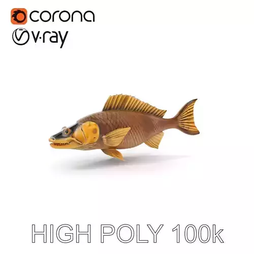 Realistic Fish Model Pack for Aquatic Environments Low-poly 3D model