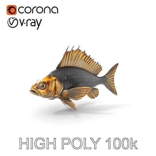 Realistic Fish D Model Pack with Detailed Textures Low-poly 3D model