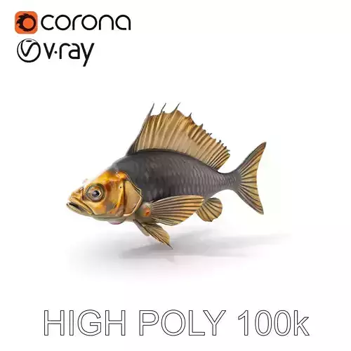 Realistic Fish D Model Pack with Detailed Textures Low-poly 3D model