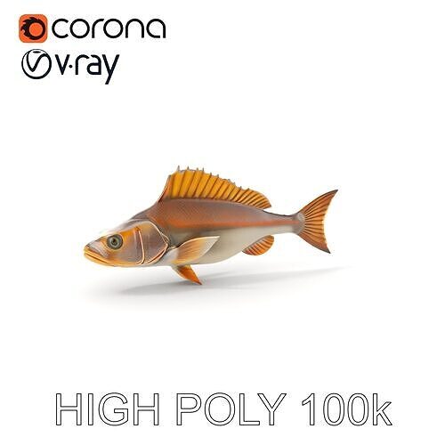 Detailed Fish Model Pack for Animation and Games Low-poly 3D model