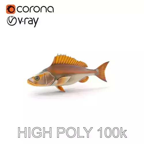 Detailed Fish Model Pack for Animation and Games Low-poly 3D model