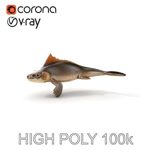 Prehistoric Lizard Model Pack with Textured Skin Low-poly 3D model