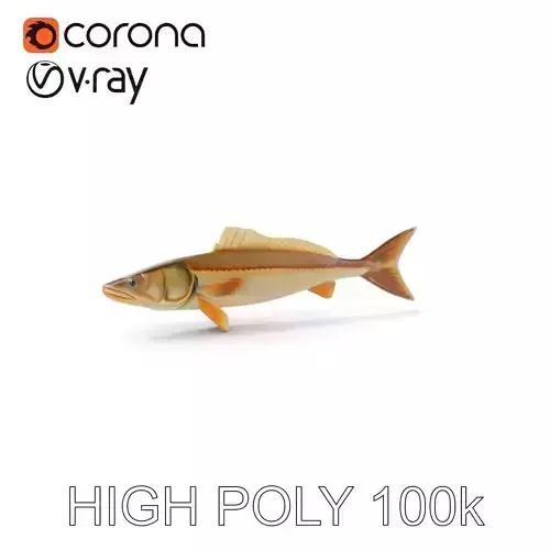 Detailed Fish Model Pack for D Rendering and Animation Low-poly 3D model