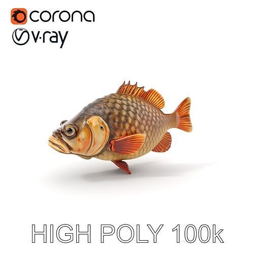 Realistic Fish Model Pack Low-poly 3D model