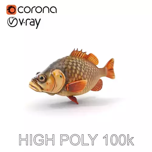 Realistic Fish Model Pack Low-poly 3D model