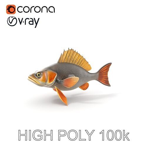 Realistic Fish Model Pack with Detailed Textures Low-poly 3D model