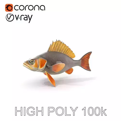 Realistic Fish Model Pack with Detailed Textures Low-poly 3D model
