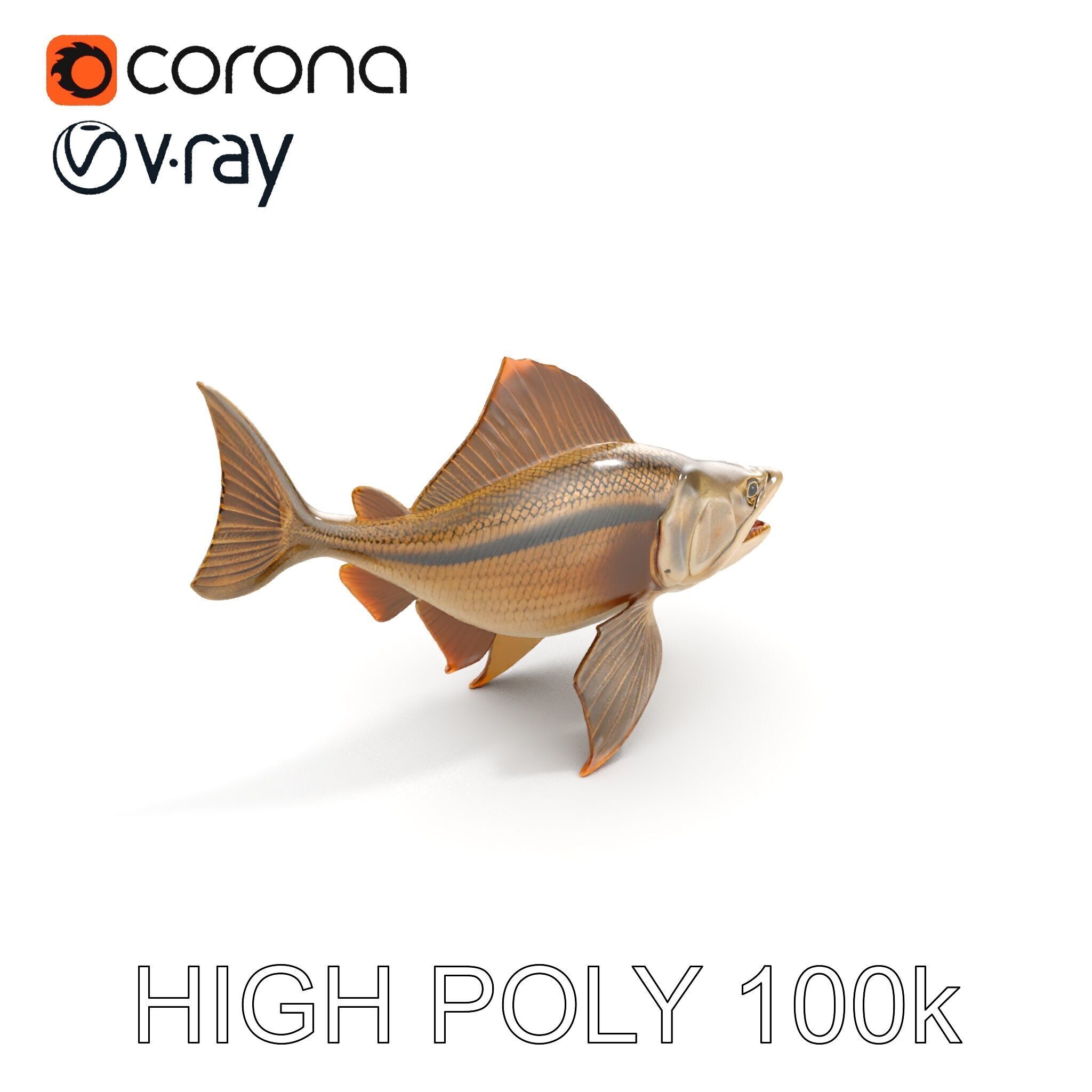 Prehistoric Fish D Model Pack with PBR Textures Low-poly 3D model_10