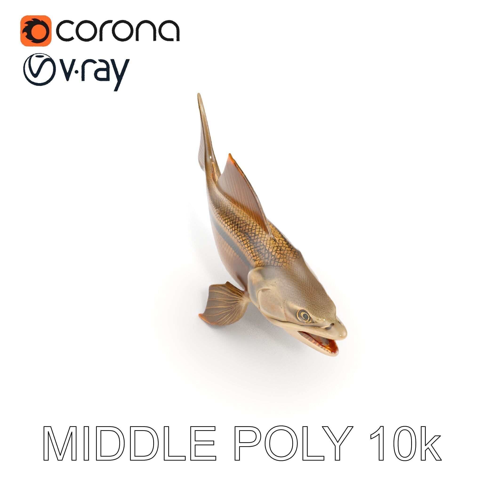 Prehistoric Fish D Model Pack with PBR Textures Low-poly 3D model_27