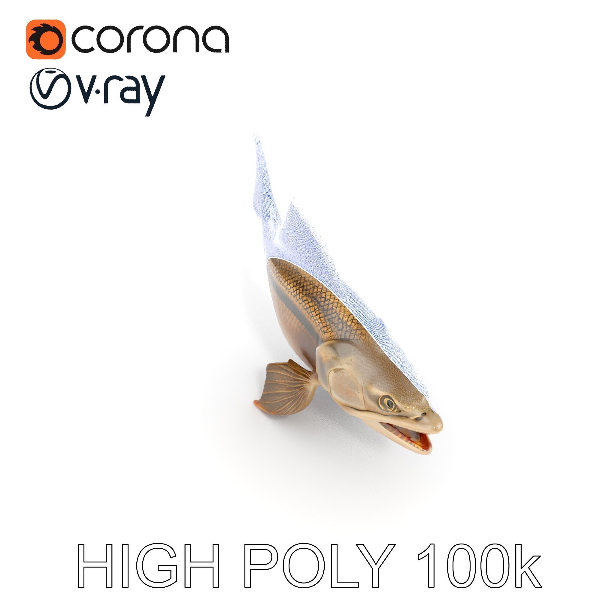 Prehistoric Fish D Model Pack with PBR Textures Low-poly 3D model_29