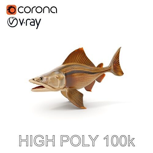Prehistoric Fish D Model Pack with PBR Textures Low-poly 3D model