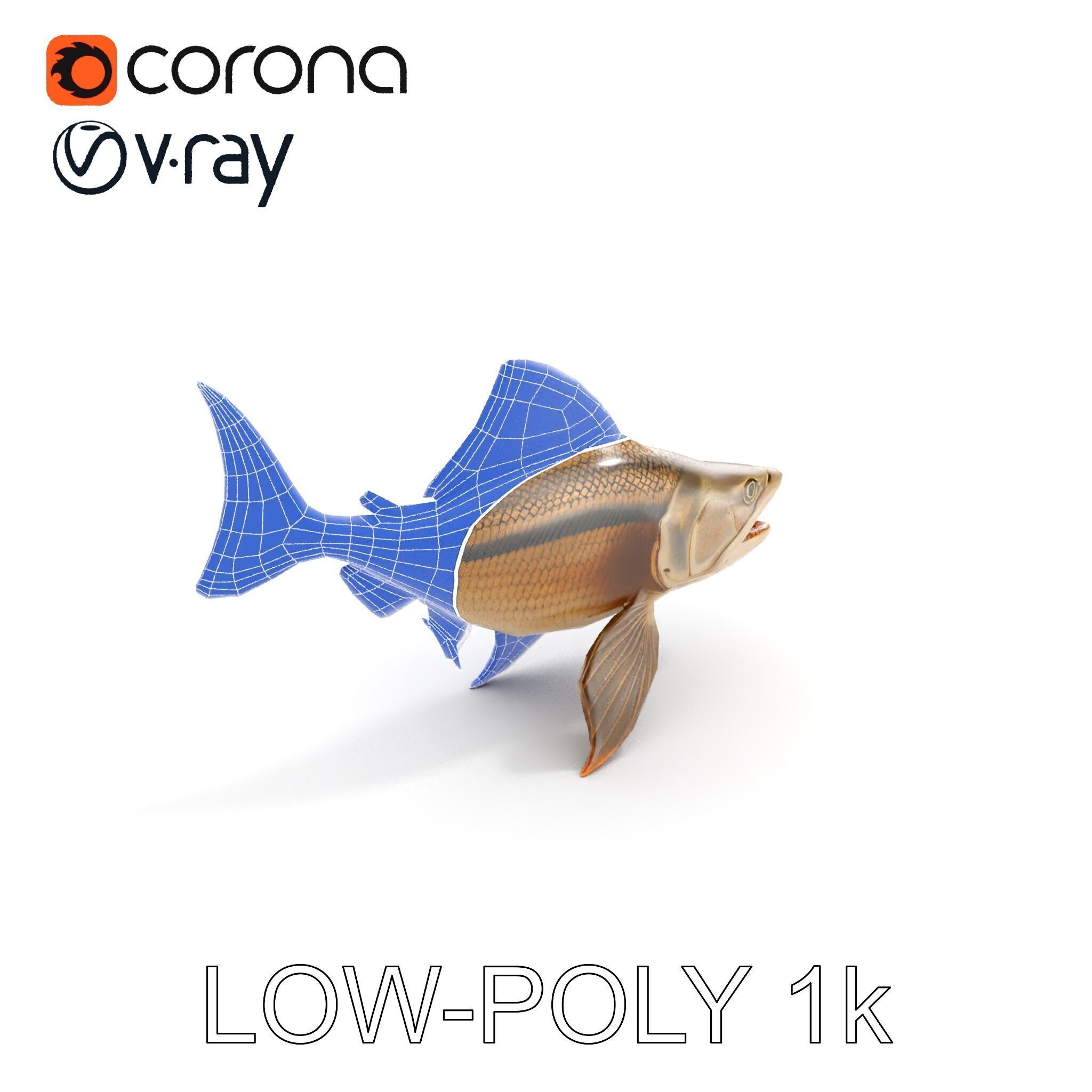 Prehistoric Fish D Model Pack with PBR Textures Low-poly 3D model_20